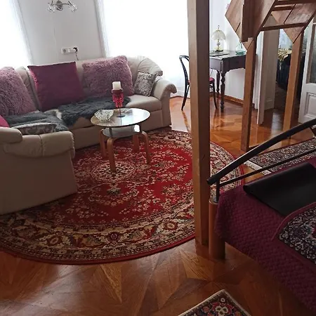 Varker In The Center Of Apartment Sopron